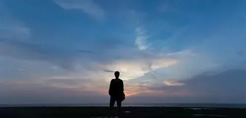 雇工難、成本高，想種甜瓜怎么辦？