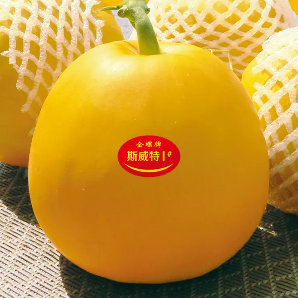 薄皮甜瓜，哪個(gè)品種最好呢？畝產(chǎn)高達(dá)10萬，附4種市場(chǎng)爆款品種