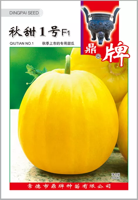 高溫季節(jié)種植甜瓜，什么品種最好？這個品種是秋季上市的專用品種