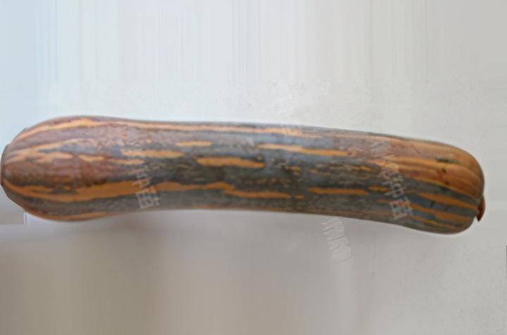 2020年，市面上的南瓜品種哪個(gè)口感最好、最甜、最值得種植？