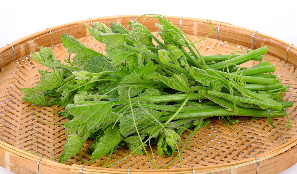 種這種綠葉菜，栽培輕松，畝產(chǎn)值過萬元，菜農(nóng)表示很劃算