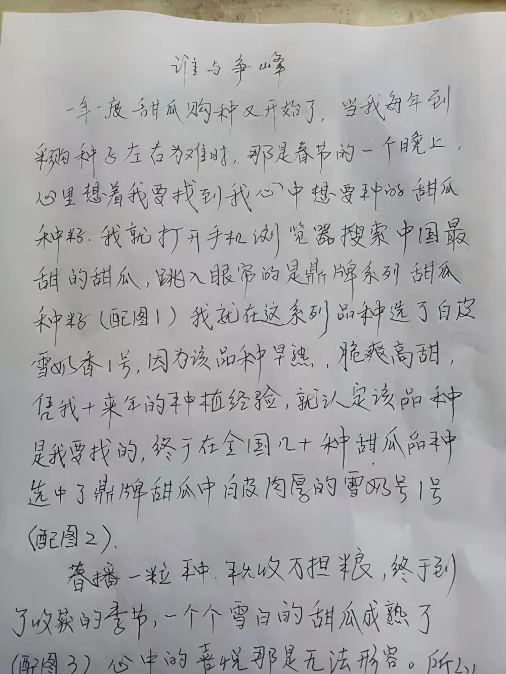 河南焦作的李向林今年種植甜瓜新品種，客戶直接拉貨走人