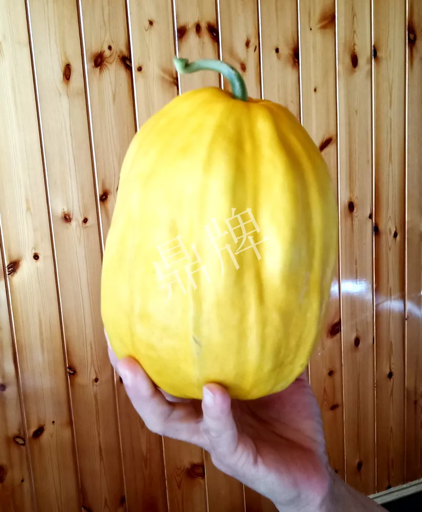 婁底瓜農(nóng)純賺50萬，我這個(gè)“張大膽”榮光了一把