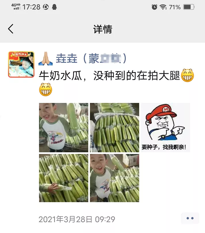 這個(gè)絲瓜每畝能掙3萬(wàn)，沒(méi)種植的農(nóng)戶(hù)后悔得拍大腿